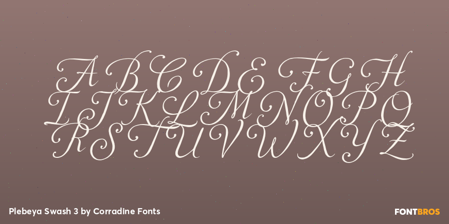 Plebeya Swash 3 Font Poster #2