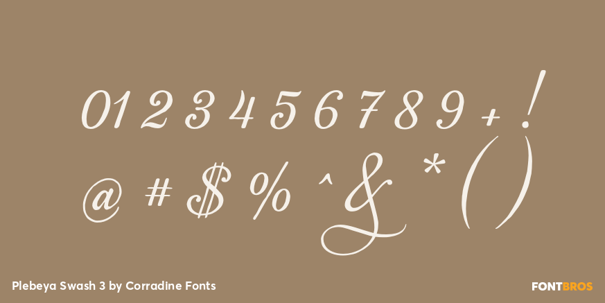 Plebeya Swash 3 Font Poster #4