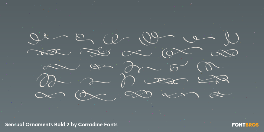 Sensual Ornaments Bold 2 Font Poster #3