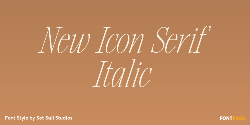 New Icon Serif Italic Poster