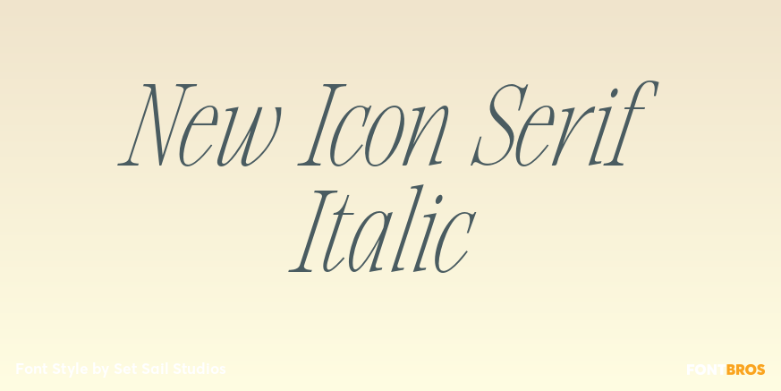 New Icon Serif Italic Poster