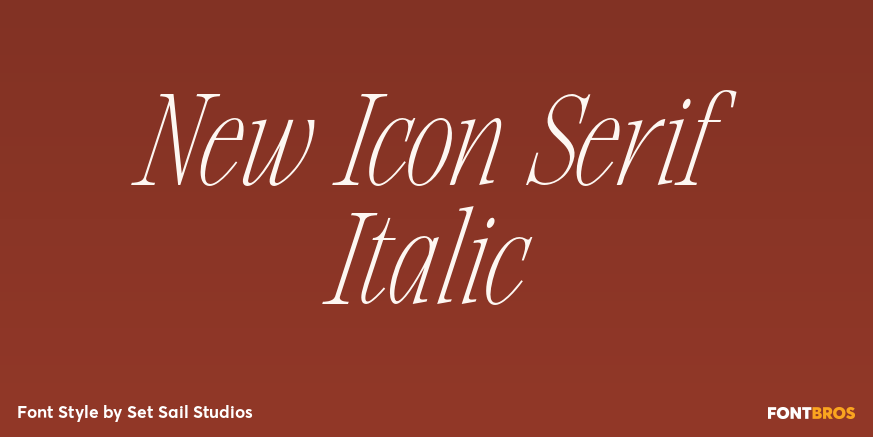 New Icon Serif Italic Poster