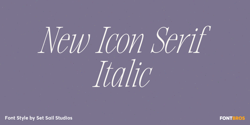 New Icon Serif Italic Poster