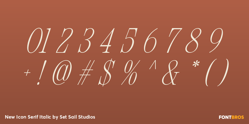 New Icon Serif Italic Font Poster #1