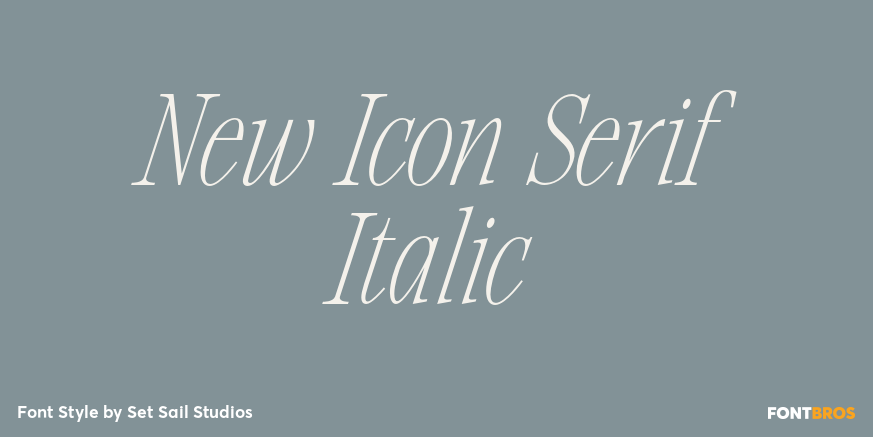 New Icon Serif Italic Poster