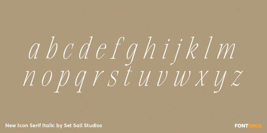 New Icon Serif Italic Font Poster #1