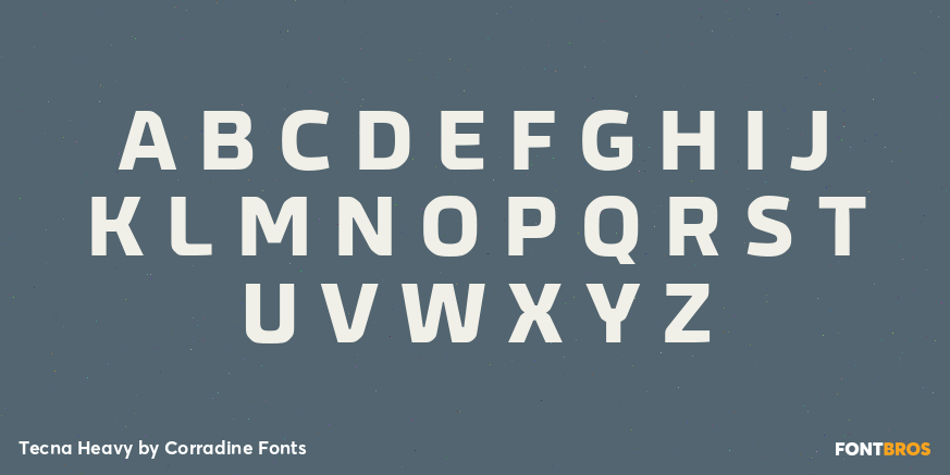 Tecna Heavy Font Poster #2