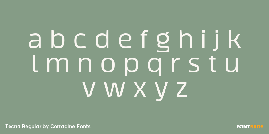 Tecna Regular Font Poster #3