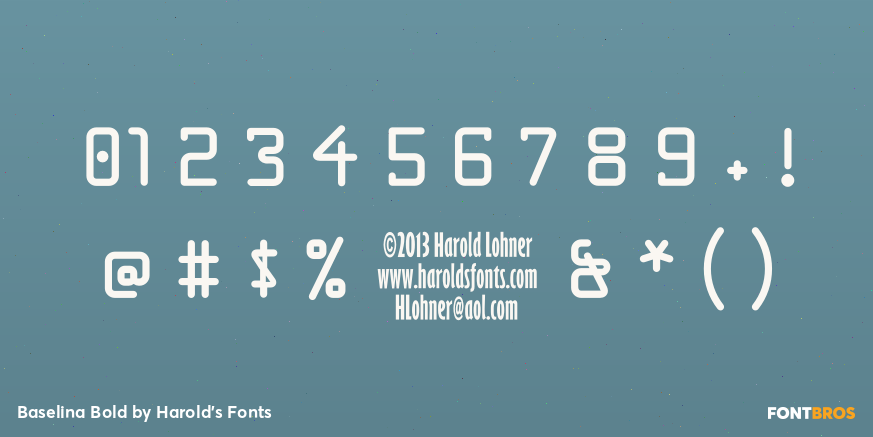 Baselina Bold Font Poster #4