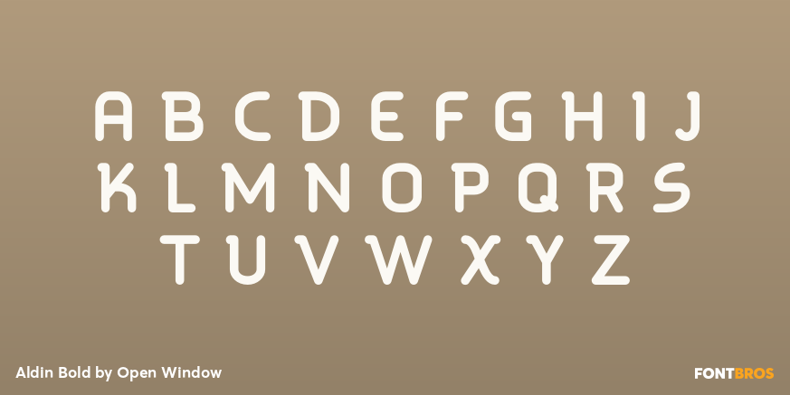 Aldin Bold Font Poster #1
