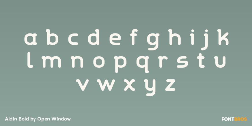 Aldin Bold Font Poster #1