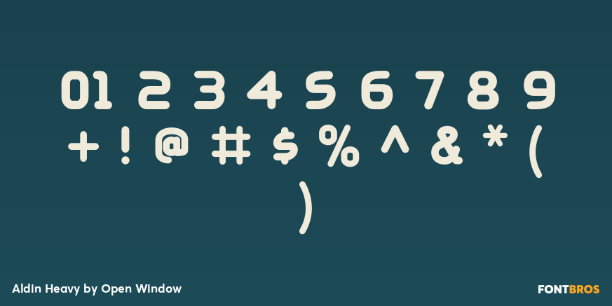 Aldin Heavy Font Poster #1