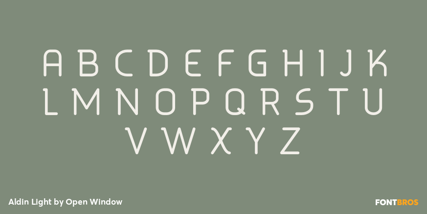 Aldin Light Font Poster #2