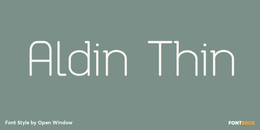 Aldin Thin Font Poster #1