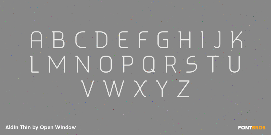 Aldin Thin Font Poster #2