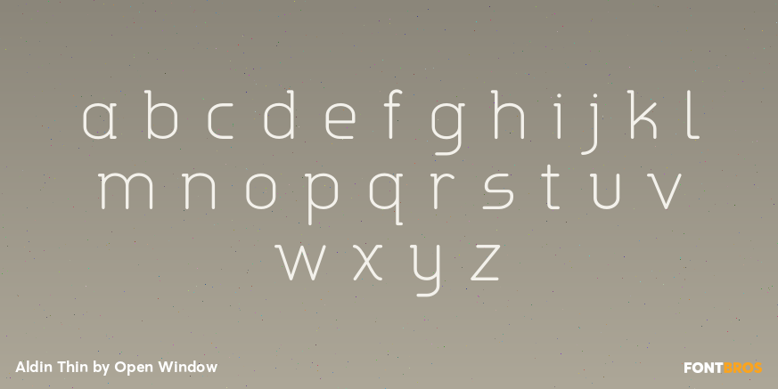 Aldin Thin Font Poster #3