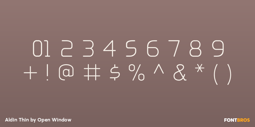 Aldin Thin Font Poster #4