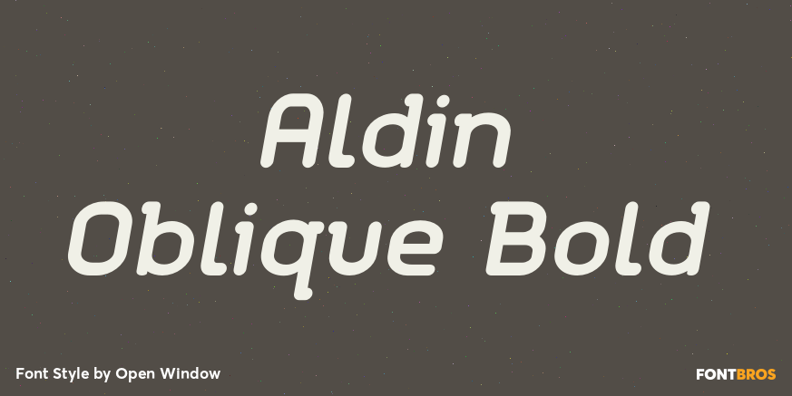 Aldin Oblique Bold Font Poster #1