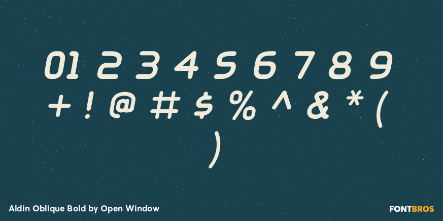 Aldin Oblique Bold Font Poster #1