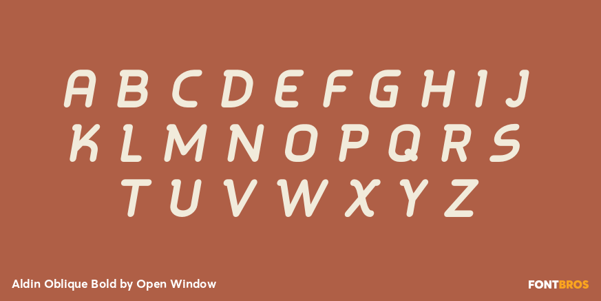 Aldin Oblique Bold Font Poster #1