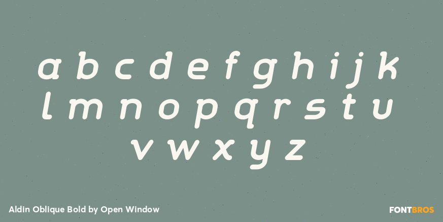 Aldin Oblique Bold Font Poster #1