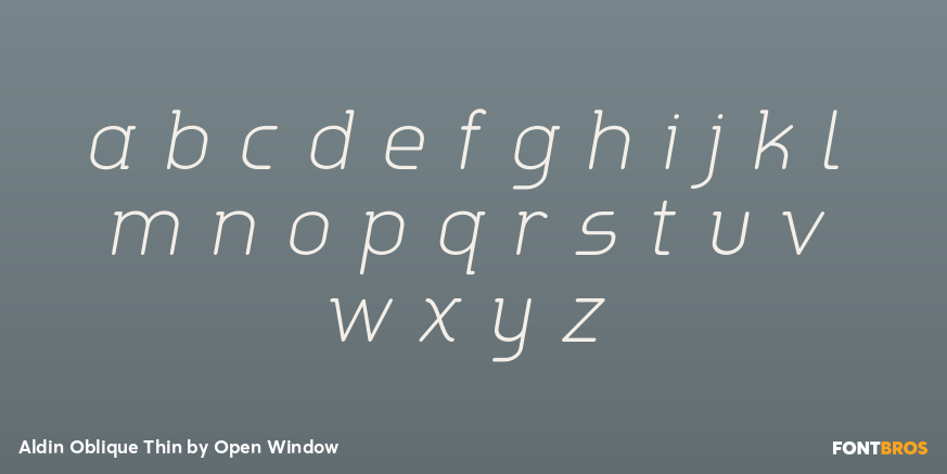 Aldin Oblique Thin Font Poster #3