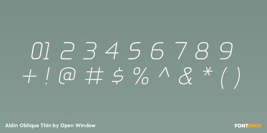 Aldin Oblique Thin Font Poster #4