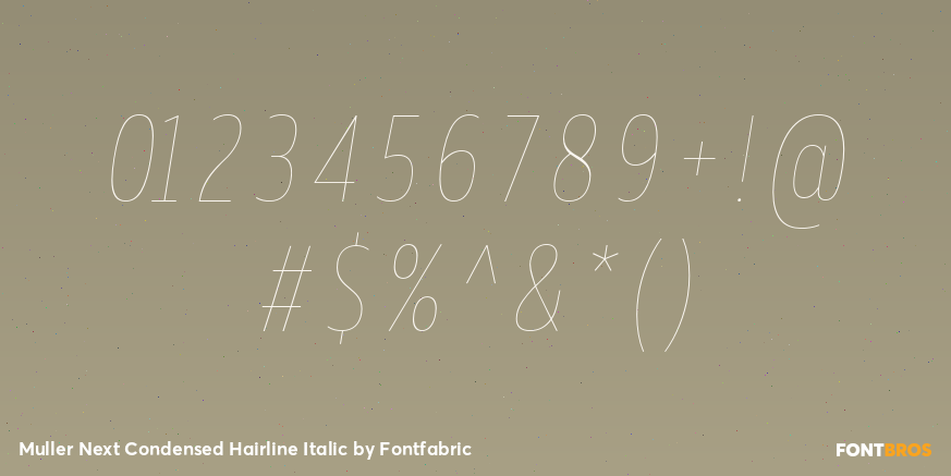 Muller Next Condensed Hairline Italic Font Poster #4
