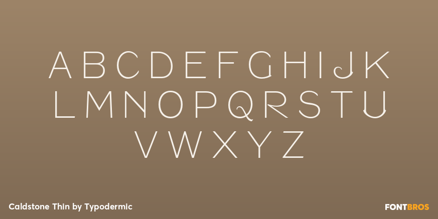 Caldstone Thin Font Poster #2