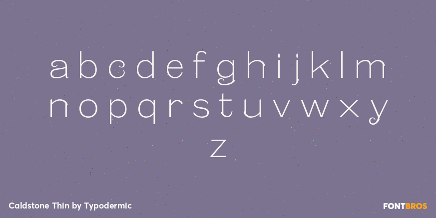 Caldstone Thin Font Poster #3