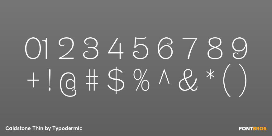 Caldstone Thin Font Poster #4
