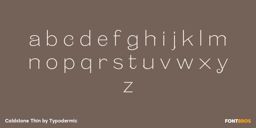 Caldstone Thin Font Poster #3