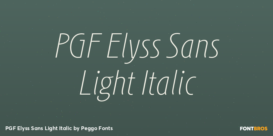 PGF Elyss Sans Light Italic Poster