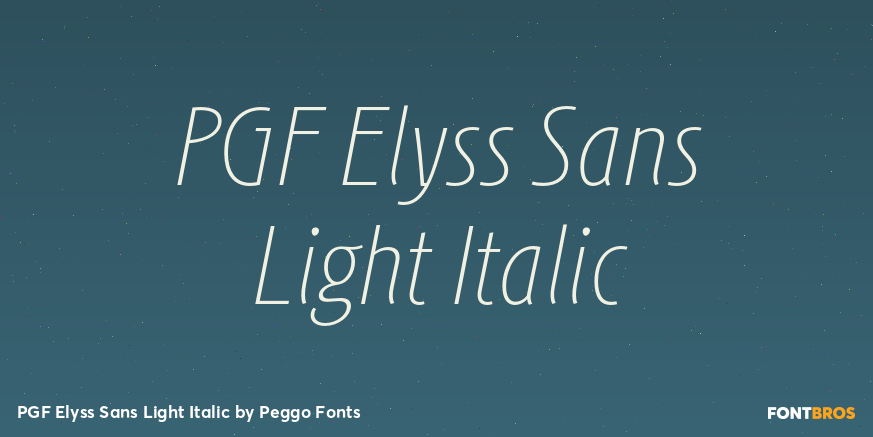PGF Elyss Sans Light Italic Font Poster