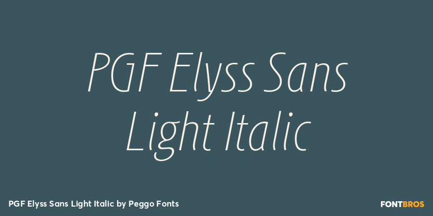 PGF Elyss Sans Light Italic Poster