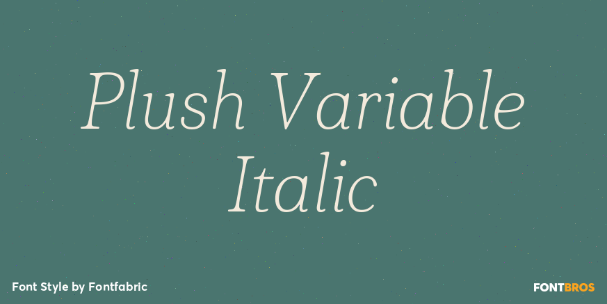 Plush Variable Italic Poster