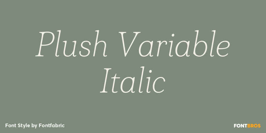 Plush Variable Italic Poster