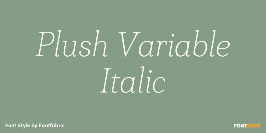 Plush Variable Italic Poster