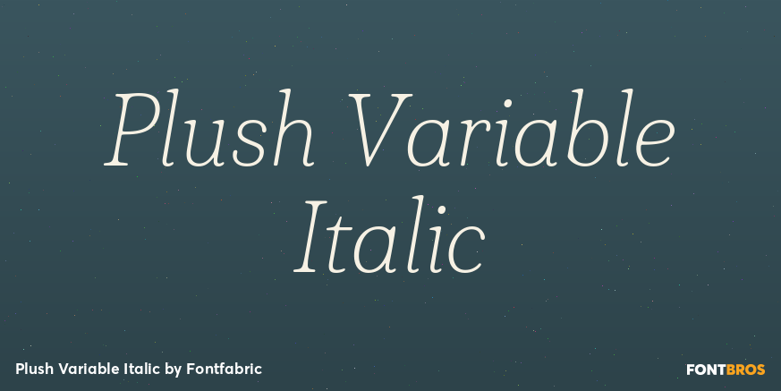 Plush Variable Italic Poster