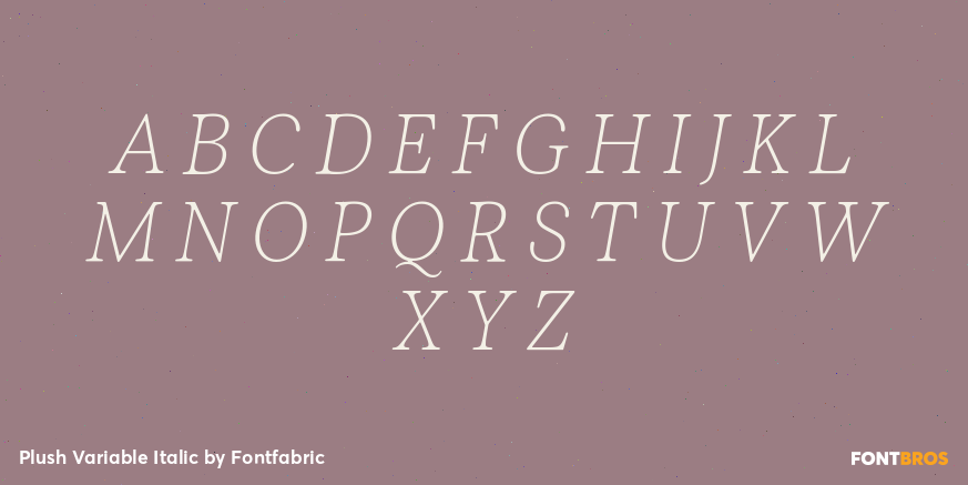 Plush Variable Italic Font Poster #2