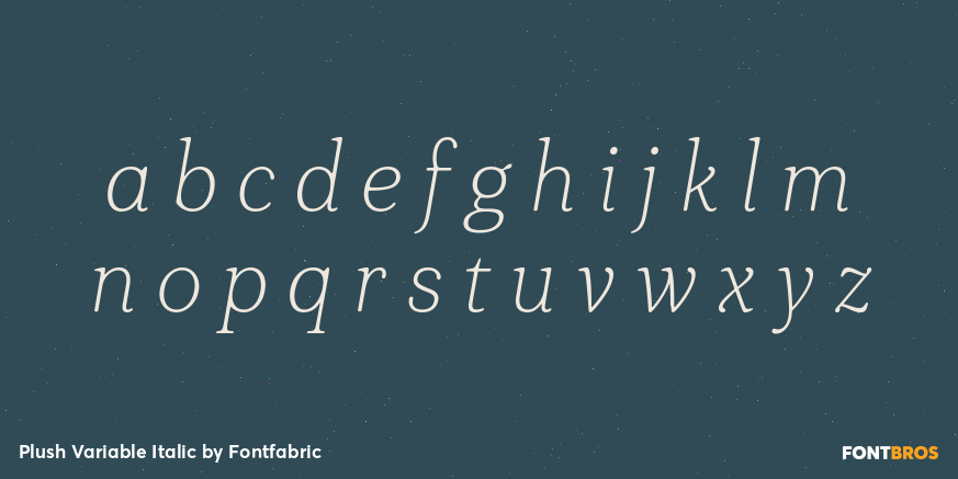 Plush Variable Italic Font Poster #3