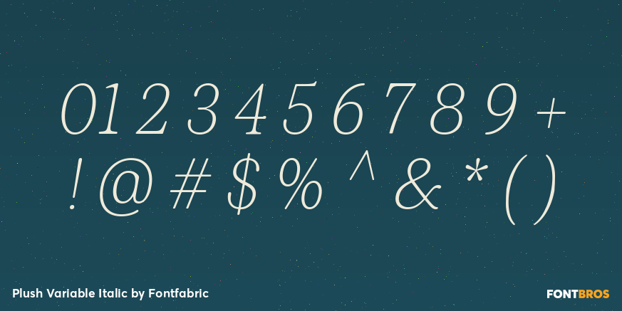 Plush Variable Italic Font Poster #4