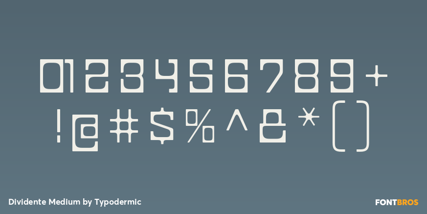 Dividente Medium Font Poster #4