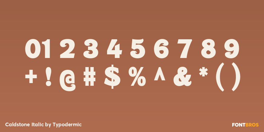 Caldstone Italic Font Poster #4