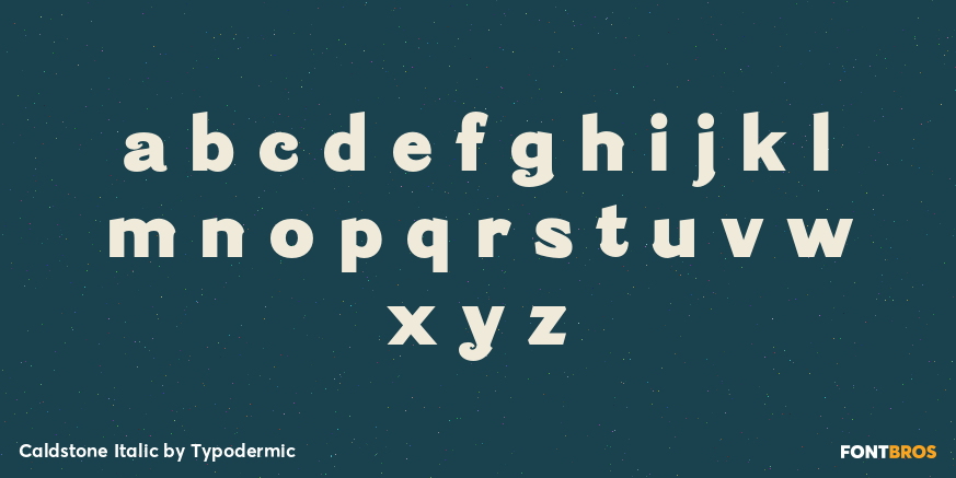 Caldstone Italic Font Poster #3