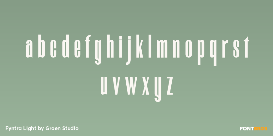 Fyntra Light Font Poster #3