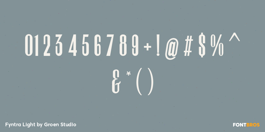 Fyntra Light Font Poster #4