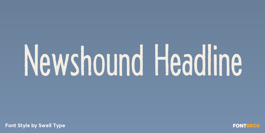 Newshound Headline Poster