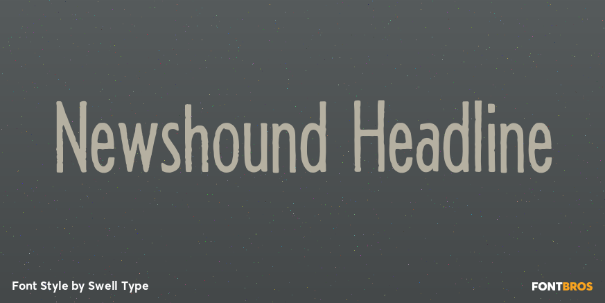Newshound Headline Poster