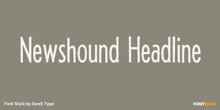 Newshound Headline Poster